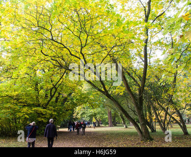 Westonbirt, The National Arboretum befindet sich in der Nähe von Tetbury, Gloucestershire und verwaltet von der Forestry Commission. Stockfoto