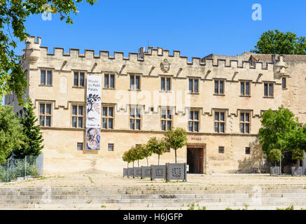 Fassade des Musée du Petit Palais, Schlossplatz, Avignon, Frankreich Stockfoto