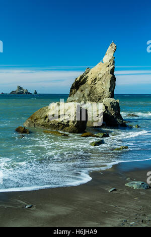 Rialto Beach. La Push Washington USA Olympic Nationalpark Stockfoto