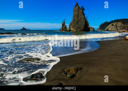 Rialto Beach. La Push Washington USA Olympic Nationalpark Stockfoto