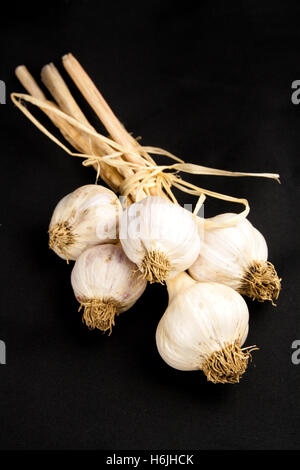 Fünf Knoblauchzehen zusammen gebunden Stockfoto