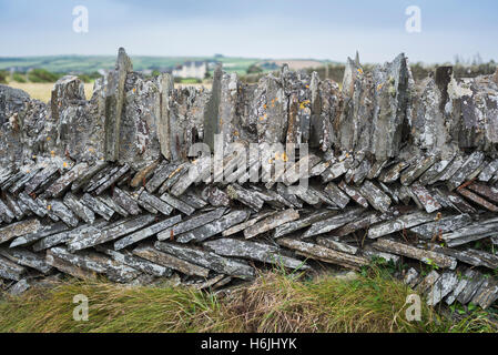 Trockenmauer Schieferplatten auf dem South West Coast Path in der Nähe von einem alten Steinbruch zwischen Trebarwith Strand und Tintagel, Westküste von Cornwall, UK Stockfoto