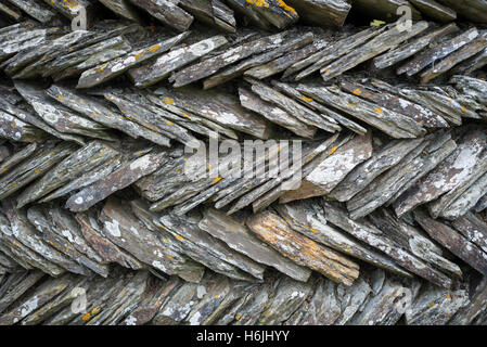 Trockenmauer Schieferplatten auf dem South West Coast Path in der Nähe von einem alten Steinbruch an der Küste zwischen Trebarwith Strand und Tintagel, Cornwall, UK Stockfoto