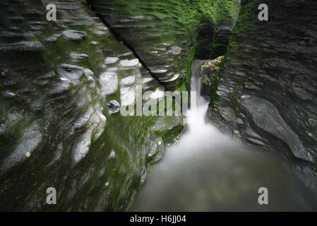 Klaren Bach durch eine sumpfige ausbacken und moosigen Schlucht des kornischen Schiefer Felsen am Trebarwith Strand an der Westküste von Cornwall, UK Stockfoto