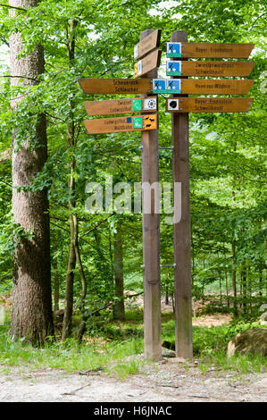 Wegweiser im Nationalpark Bayerischer Wald, Bayern Stockfoto
