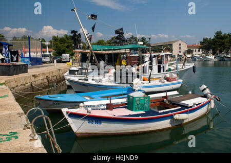 Angelboote/Fischerboote im Hafen von Novigrad, Istrien, Kroatien, Europa Stockfoto