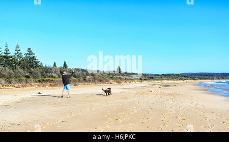 Mann spielt mit seinem Hund auf Tathra Strand, New South Wales, Australien Stockfoto