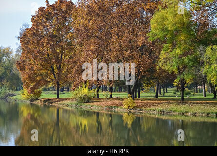 Kleiner Fluss und Bäume in einem schönen Herbsttag im Wasser reflektiert Stockfoto