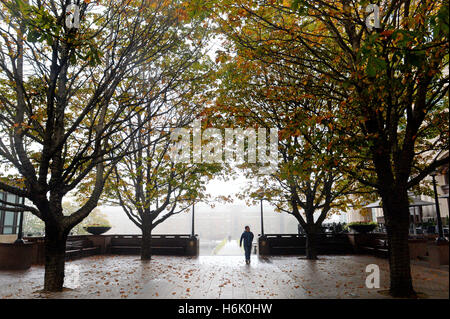 Canary Wharf in London wird von Nebel umhüllt, wie die Bäume im Herbst verfärben. Stockfoto