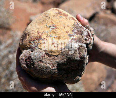 Kalkstein-Probe aus der verbrannte Berg von Twyfelfontein Damaraland Namibia Stockfoto