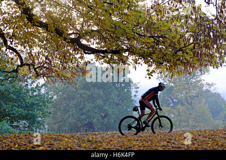 Ein Radfahrer fährt durch herbstlichen Farbe im Richmond Park, London. Stockfoto