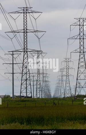 Mehrere Reihen von Freileitungsmasten Hochspannung Strom zurück in die Ferne. Stockfoto