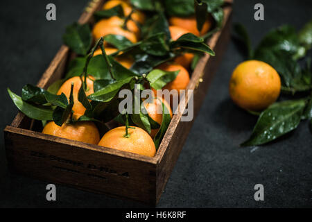 Frische Mandarinen in Holzkiste auf dunklem Hintergrund Stockfoto