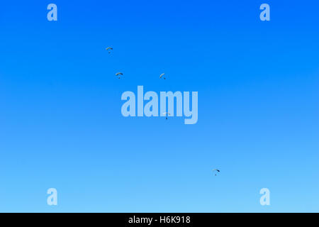 Fallschirmjäger hinab auf die Erde auf den klaren blauen Himmelshintergrund. Stockfoto
