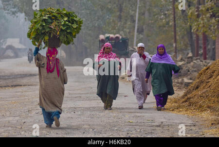 30. Oktober 2016 trägt - Srinagar, Jammu und Kaschmir, Indien - A Kashmiri muslimische Frau einen Korb Gemüse auf dem Kopf als andere zu Fuß neben ihrem am 30. Oktober 2016 n Srinagar im Sommer, die Hauptstadt des indischen Kaschmir verabreicht. Tausende von indischen Regierungskräfte wurden auf den Straßen und Gassen in Srinagar für die letzten vier Monate zu vereiteln implementiert anti-Indien, die Proteste wie die als einen anhaltenden Unruhen in Indien kontrollierten Kaschmir seine 4. Monat betritt.  92 Menschen wurden getötet und mehr als 15000 verletzt in indische Kräfte Aktion seit dem Mord eines jungen Rebellen Kommandanten Burhan Wani auf J Stockfoto