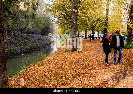 Arundel Sussex UK 30. Oktober 2016 - Menschen genießen Sie einen Spaziergang durch eine Allee von Bäumen in Arundel schöne Herbst-Farben zeigen, wie das ungewöhnlich milde Wetter im Süden von Großbritannien Kredit weiter: Simon Dack/Alamy Live News Stockfoto
