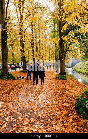 Arundel Sussex UK 30. Oktober 2016 - Menschen genießen Sie einen Spaziergang durch eine Allee von Bäumen in Arundel schöne Herbst-Farben zeigen, wie das ungewöhnlich milde Wetter im Süden von Großbritannien Kredit weiter: Simon Dack/Alamy Live News Stockfoto