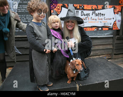 London, UK. 30. Oktober 2016.   Die Halloween gehen und zeigen die sieht Hund verkleiden sich in Halloween-Kostüme, Geld für wohltätige Zwecke alle Hunde Materie zu erhöhen, die Hunde aus London und überall umgeben, gehalten an der Spanier Inn Pub in Hampstead, unter den Juroren zu retten war Michelle Collin Eastenders Ruhm. Bildnachweis: Paul Quezada-Neiman/Alamy Live-Nachrichten Stockfoto