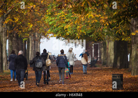 Greenwich, London, Vereinigtes Königreich. 31. Oktober 2016. Ein nebliger Morgen in London machte schöne Herbstsonne und Farbe in Greenwich, London, heute. Rob Powell/Alamy Live-Nachrichten Stockfoto