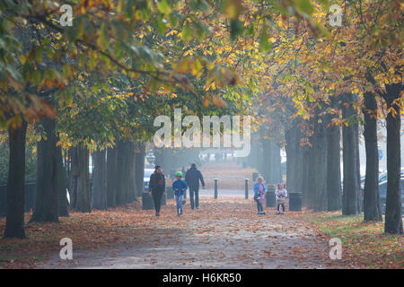 Greenwich, London, Vereinigtes Königreich. 31. Oktober 2016. Ein nebliger Morgen in London machte schöne Herbstsonne und Farbe in Greenwich, London, heute. Rob Powell/Alamy Live-Nachrichten Stockfoto