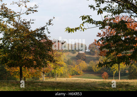 Greenwich, London, Vereinigtes Königreich. 31. Oktober 2016. Ein nebliger Morgen in London machte schöne Herbstsonne und Farbe in Greenwich, London, heute. Rob Powell/Alamy Live-Nachrichten Stockfoto