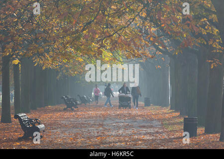 Greenwich, London, Vereinigtes Königreich. 31. Oktober 2016. Ein nebliger Morgen in London machte schöne Herbstsonne und Farbe in Greenwich, London, heute. Rob Powell/Alamy Live-Nachrichten Stockfoto