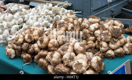 Knoblauch zu verkaufen, französische Straße Markt, Brentwood, Essex Stockfoto