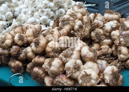 Knoblauch zu verkaufen, französische Straße Markt, Brentwood, Essex Stockfoto