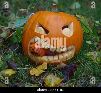 Halloween Kürbis geschnitzt Gesicht Herbst Stockfoto