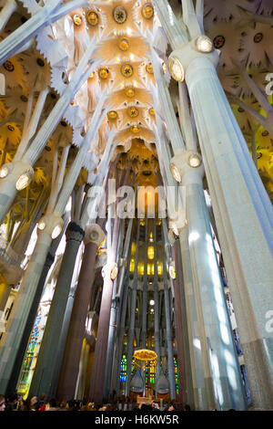 Das Innere der Kirche Sagrada Familia, Barcelona, Spanien Stockfoto