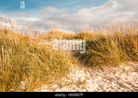 Rückblick auf die Dünen am Achmelvich Beach, Assynt, Schottland Stockfoto