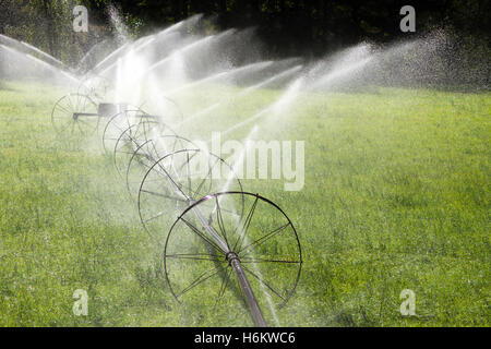 Landwirtschaftliche Bewässerung Rad Linie Sprinkler Stockfoto