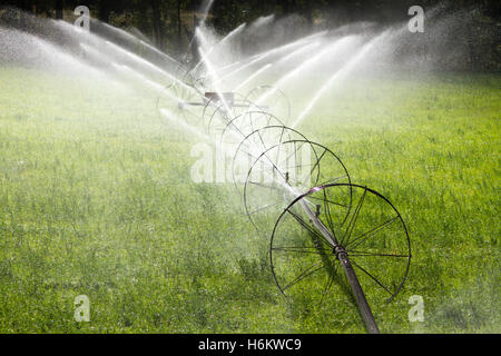 Landwirtschaftliche Bewässerung Rad Linie Sprinkler Stockfoto