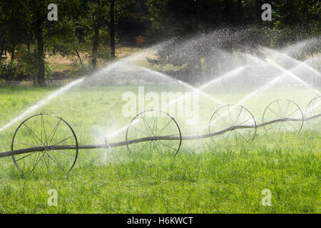 Landwirtschaftliche Bewässerung Rad Linie Sprinkler Stockfoto