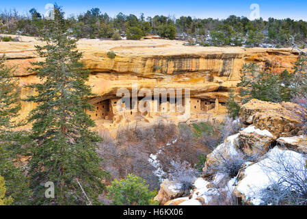 Spruce Tree House in Mesa Verde Nationalpark, Colorado im Winter Stockfoto