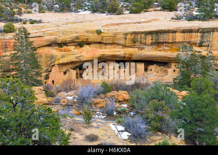 Spruce Tree House in Mesa Verde Nationalpark, Colorado im Winter Stockfoto