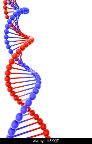 DNA-Helix auf weißem Hintergrund mit Exemplar Stockfoto