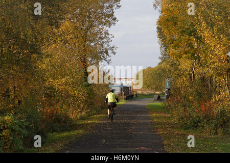 Radfahrer auf Fahrrad Forth und Clyde Canal, Glasgow herbstliche Bäume Stockfoto