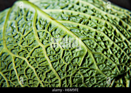 Wirsing auf einem dunklen Hintergrund Nahaufnahme. Stockfoto