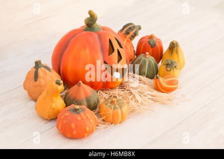 Orange Halloween-Kürbis, umgeben von vielen kleinen Kürbisse Stockfoto