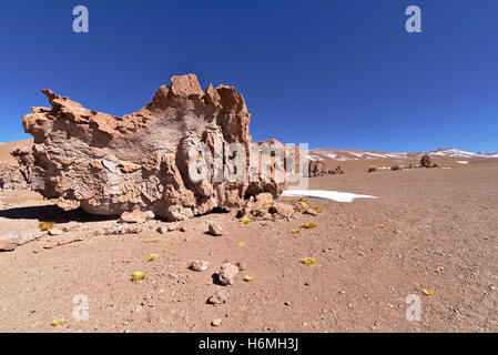 Erosion geformte rote Felsen in der Wüste unter einem schönen sauberen Himmel. Stockfoto