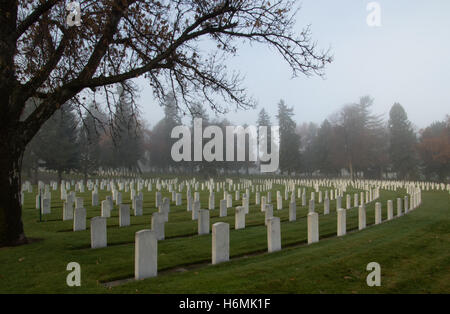 Ein Blick auf die Lichtbögen Reihen von weißen Grabsteinen von gefallenen Soldaten, Matrosen und Flieger in einem Nebel bedeckt Veteranen Friedhof Stockfoto