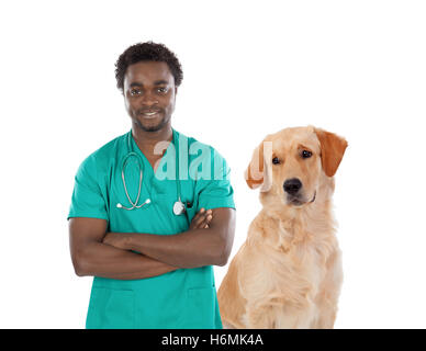 Labrador Hund mit afrikanischen Tierarzt isoliert auf weißem Hintergrund Stockfoto