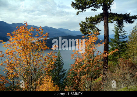 Ein Blick auf malerische Harrison Lake, ein Erholungsgebiet östlich von Vancouver in der Coast Mountains von British Columbia, Kanada. Stockfoto