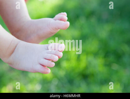 Zarte Babys Füße mit einem grünen Rasen-Hintergrund Stockfoto