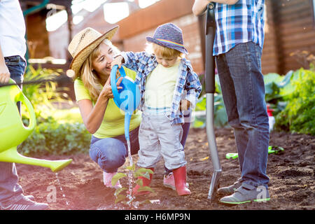 Kind junge Kindergarten Transplantation mit seiner Mutter und seinen Brüdern im Garten Bewässerung Stockfoto