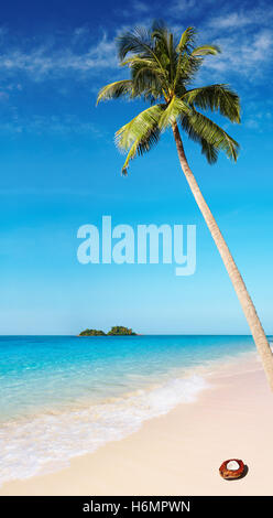 Tropischer Strand mit Palmen und azurblaues Wasser Stockfoto