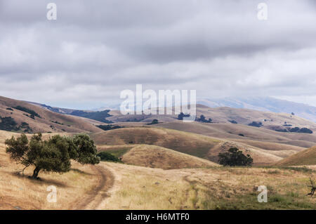 Kalifornien Dürre. Garin Regional Park, Kalifornien, Mai 2013. Stockfoto