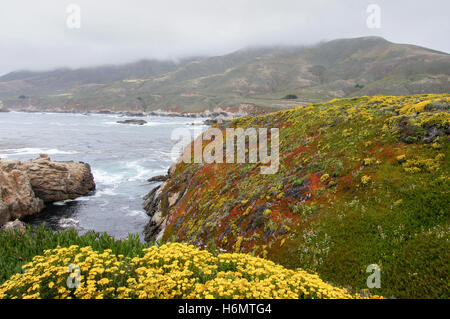 Nebligen Küste des Pazifischen Ozeans an Soberanes Point. Stockfoto