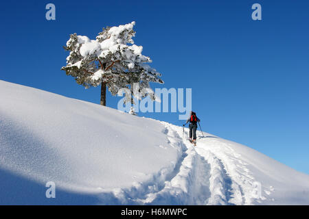 Bergsport Stockfoto